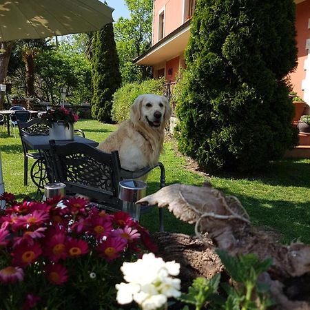 ארנאס דה קבראלס Hotel Rural El Torrejon מראה חיצוני תמונה