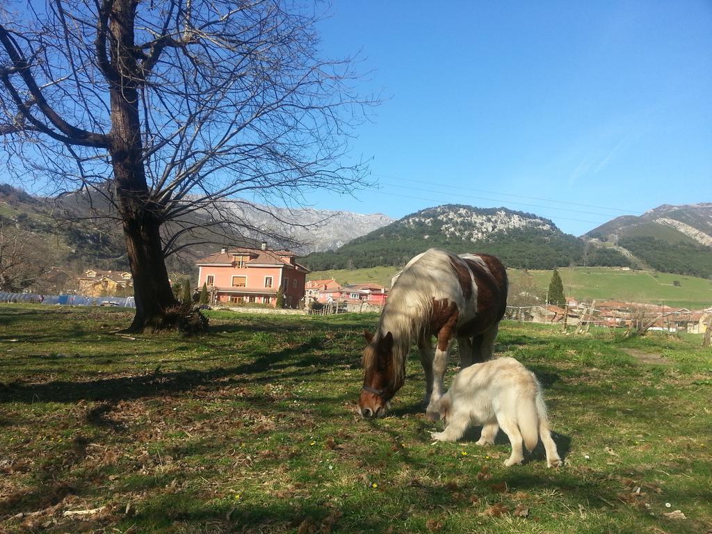 ארנאס דה קבראלס Hotel Rural El Torrejon מראה חיצוני תמונה
